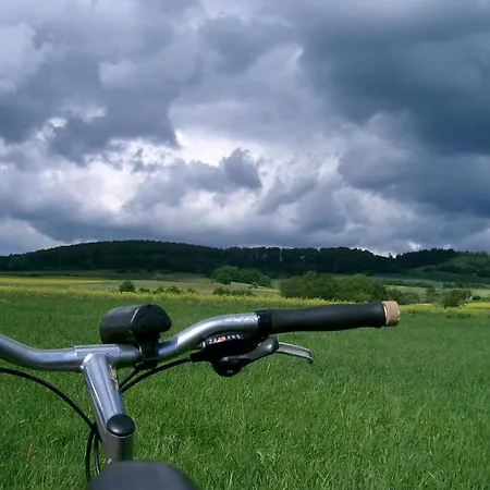 Fritz'es Goldener Stern