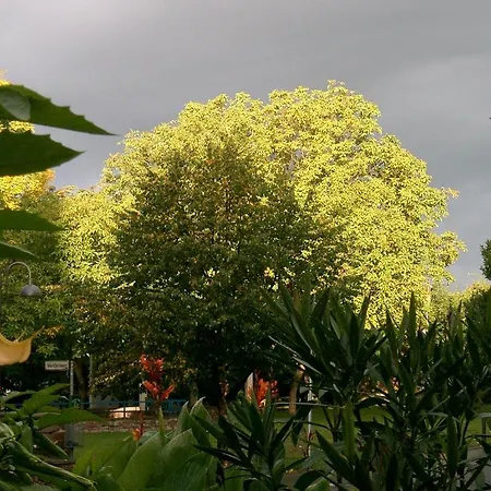 Penzion Fritz'es Goldener Stern