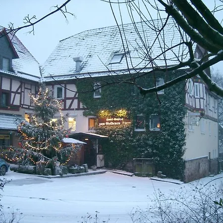 Gasthof Fritz'es Goldener Stern