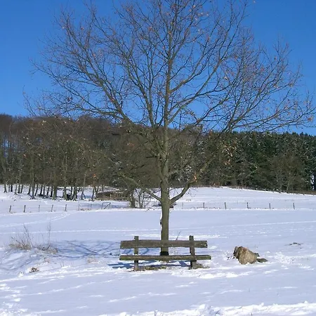 Penzion Fritz'es Goldener Stern 3*