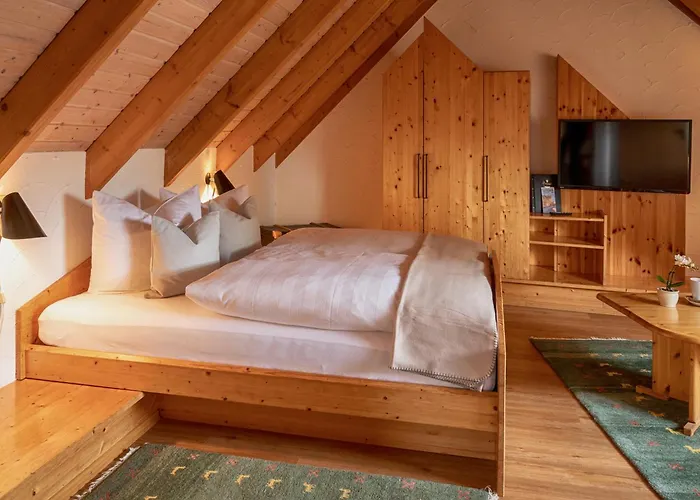 Penzion Fritz'es Goldener Stern 3*