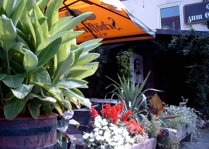 Fritz'es Goldener Stern Penzion