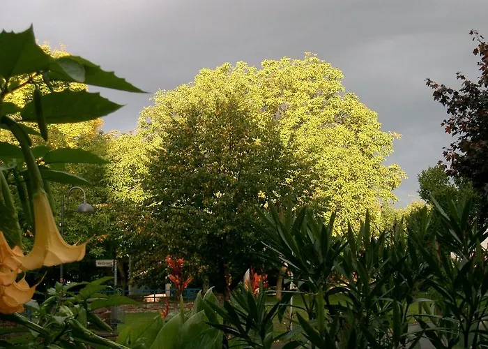 Penzion Fritz'es Goldener Stern