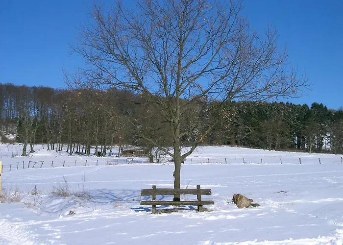 Penzion Fritz'es Goldener Stern 3*